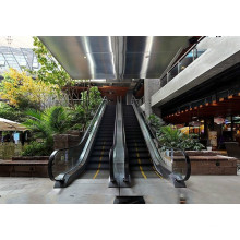 Heißer Verkaufs-Passagier-Rolltreppe mit neuem Entwurf für Mall